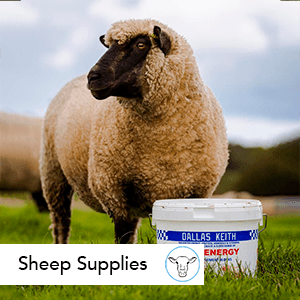 Sheep Supplies